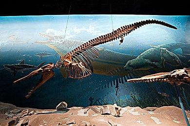 网传黑曜石《宣誓》或将于2023年Q1＆Q2推出