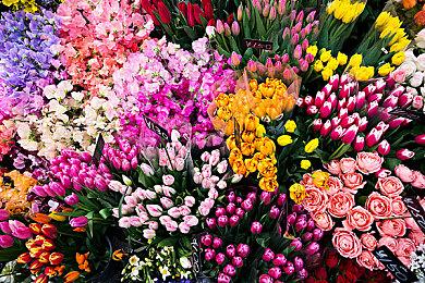 《暗黑4》粉丝请求暴雪保留游戏难度 总监确认不会削弱